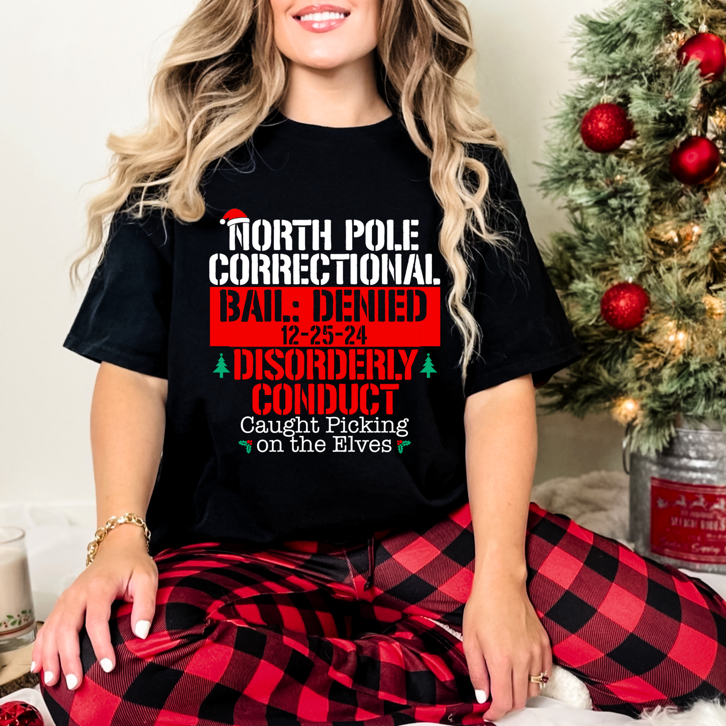North Pole Correction - Disorderly Conduct: Caught picking on the Elves - DTF Transfer Film