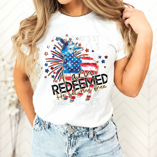 I am redeemed He set me free July 4th DTF Transfer Film SSD045