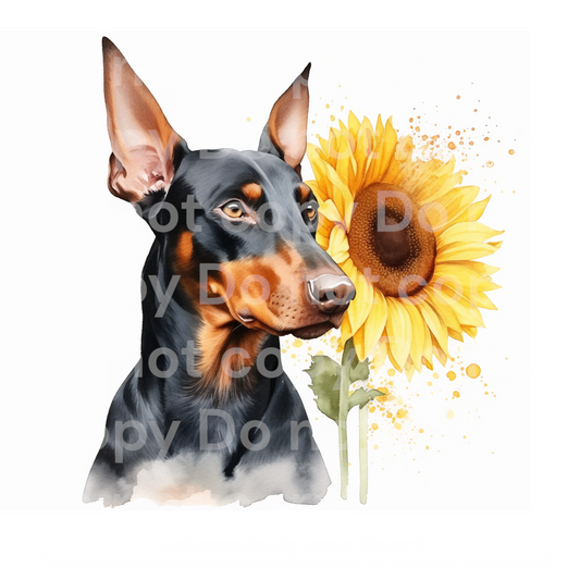 Sunflower Doberman Dog Transfer Film 0401