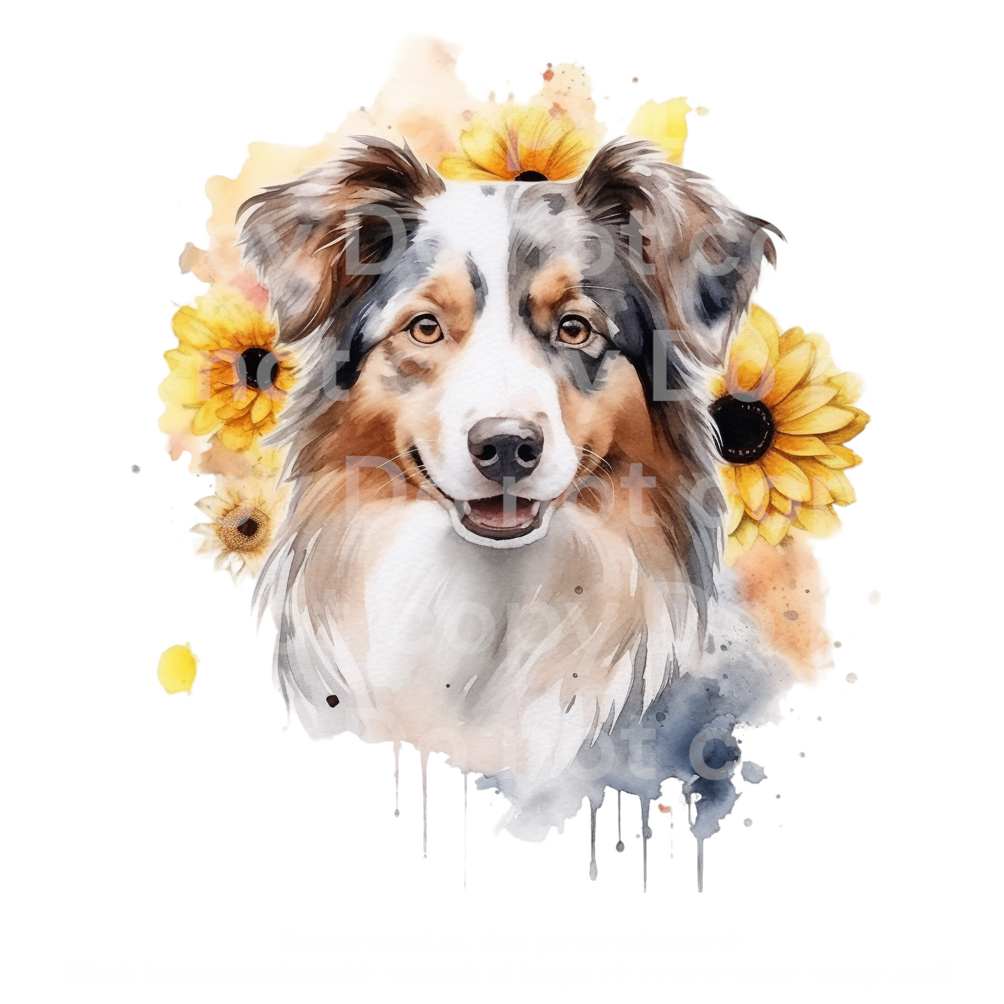 Sunflower Australian Shepherd Dog Transfer Film 0406