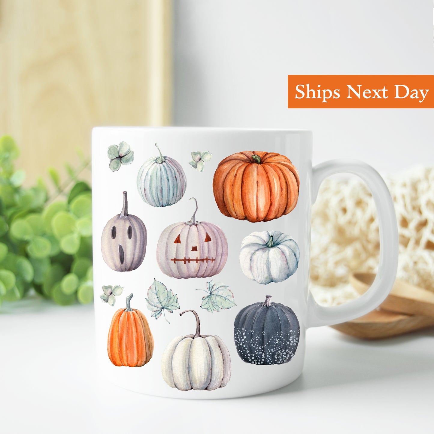 Fall Pumpkins Mug 11 oz.