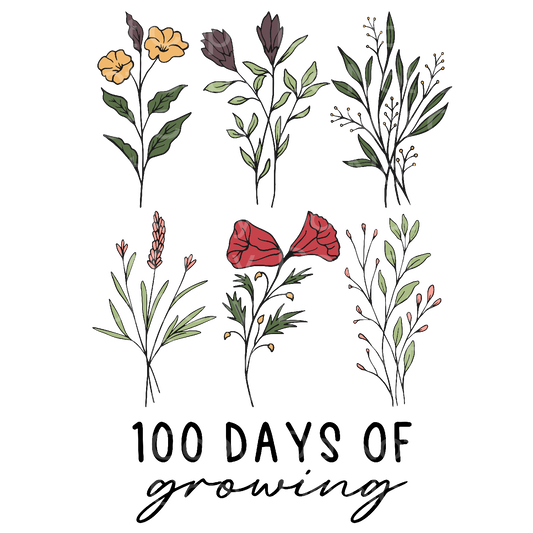 Boho 100 Days of Growing Transfer Film 2137