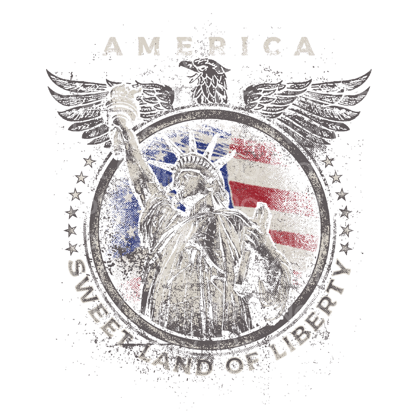 America Lady Liberty Transfer Film 1602