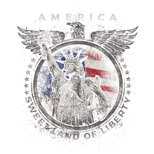 America Lady Liberty Transfer Film 1602