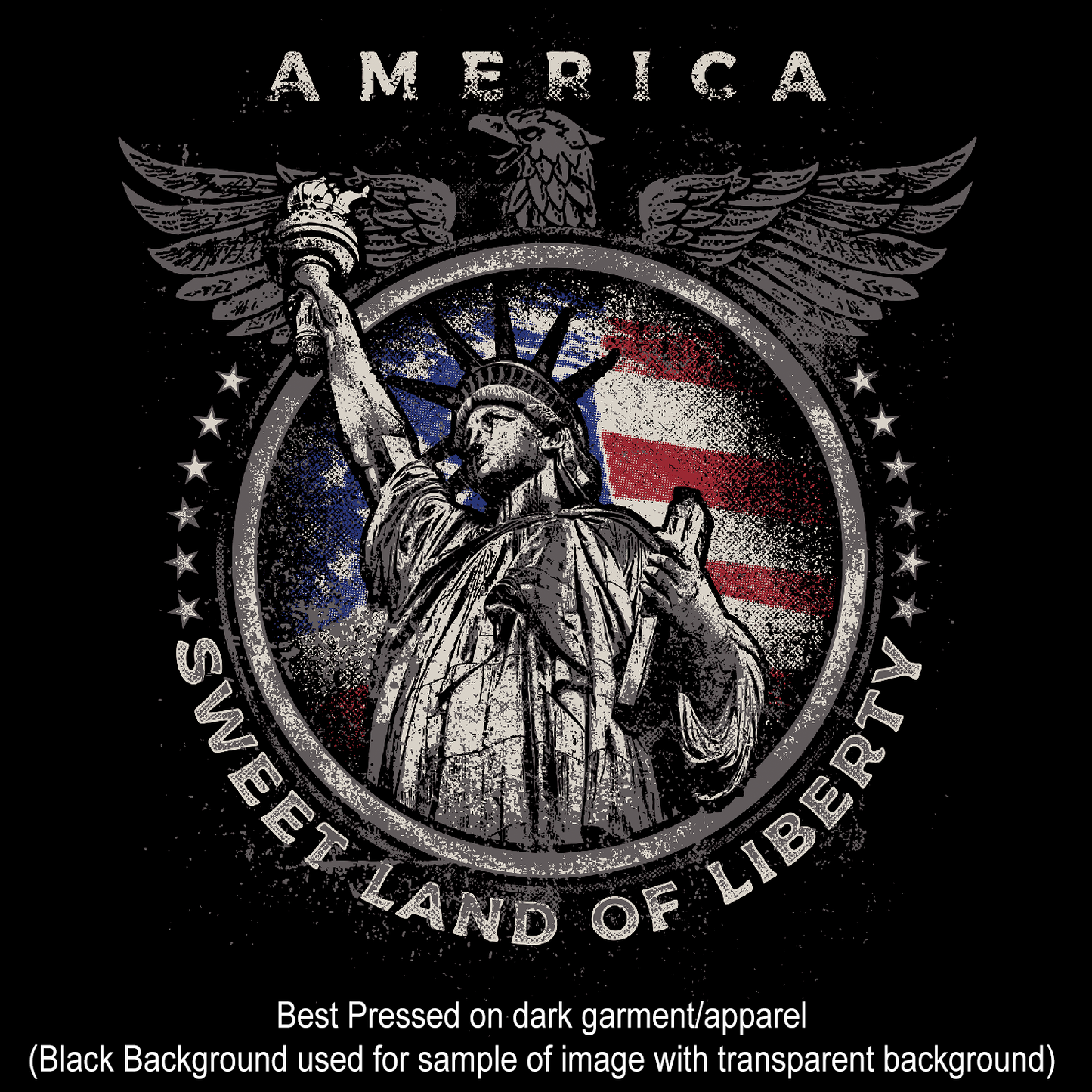America Lady Liberty Transfer Film 1602