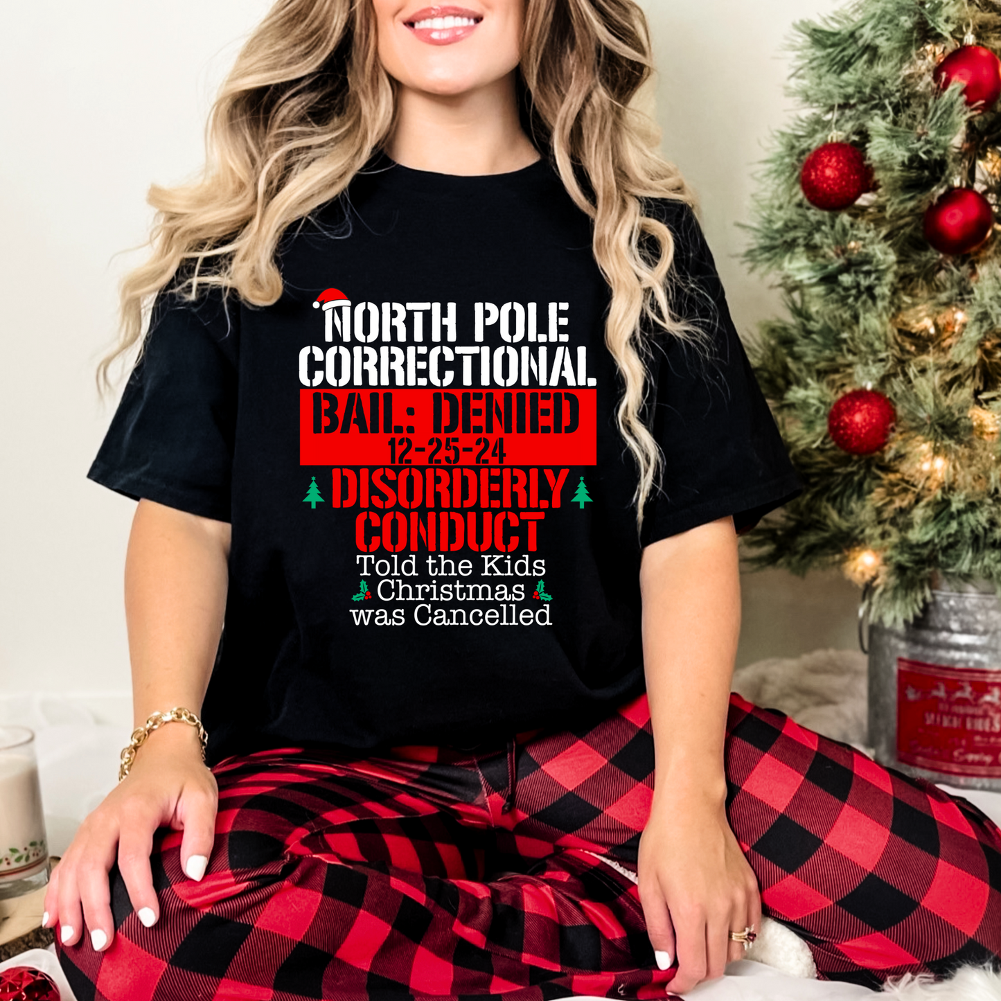 North Pole Correction - Disorderly Conduct: Told the kids Christmas was cancelled - DTF Transfer Film