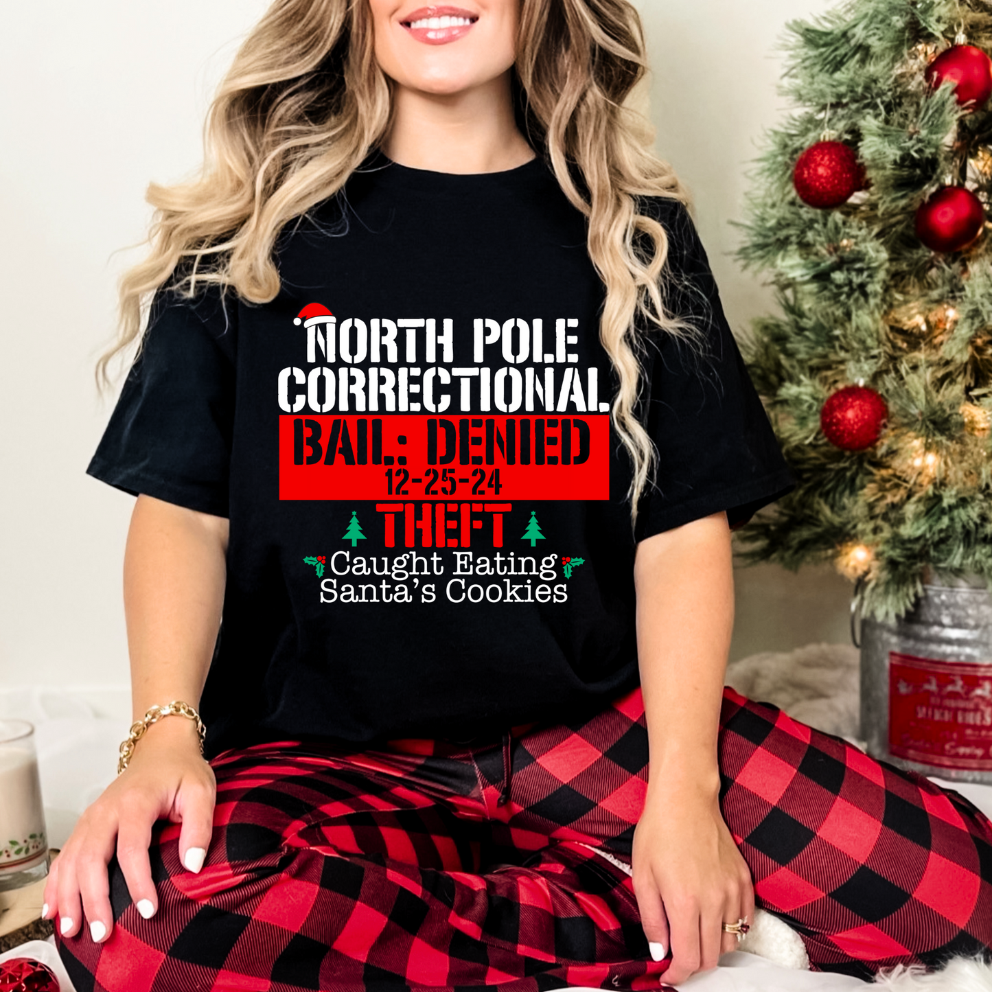 North Pole Correctional- Theft: Caught being Santa’s Cookies - DTF Transfer Film