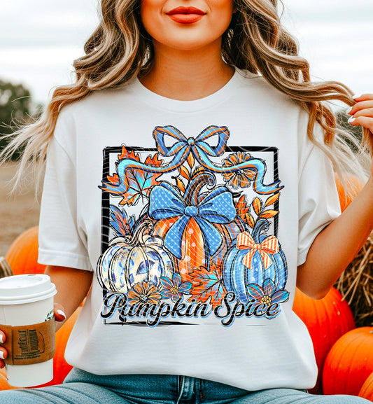 Pumpkin Spice & Fall Vibes DTF Transfer Film A095