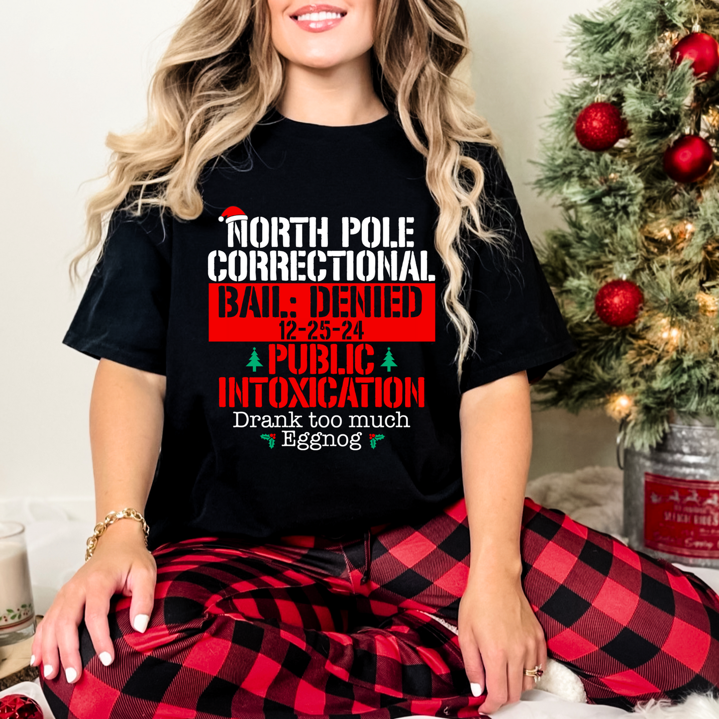 North Pole Correctional- Public Intoxication: Drank too much eggnog - DTF Transfer Film