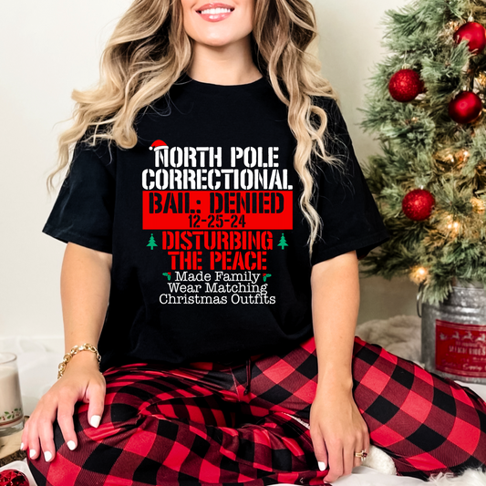 North Pole Correctional- Disturbing the peace: Matching Christmas Outfits - DTF Transfer Film SDD103