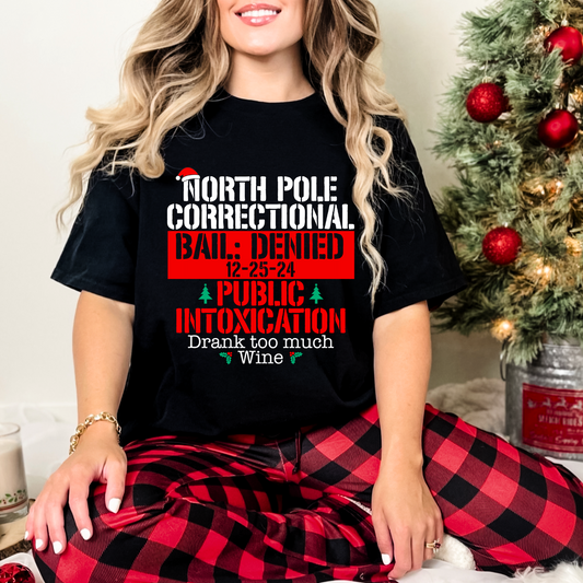 North Pole Correctional- Public intoxication: drank too much wine - DTF Transfer Film