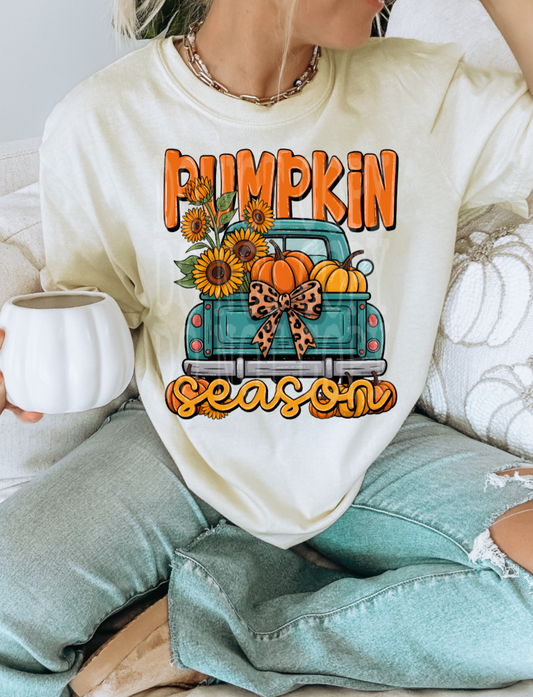 Pumpkin Season DTF Transfer Film TE085