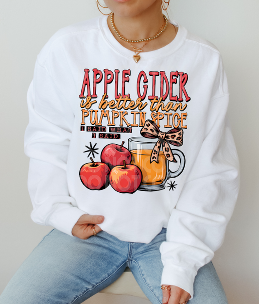 Apple cider is better than pumpkin spice DTF Transfer Film TE085