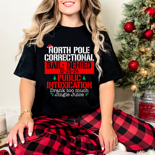 North Pole Correctional- Public Intoxication: Drank too much Jingle Juice - DTF Transfer Film