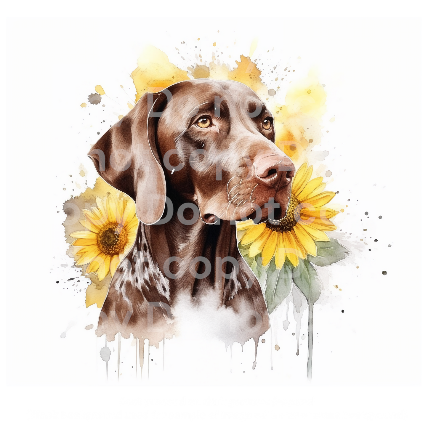 Sunflower Shorthaired Pointer Dog Transfer Film 0402