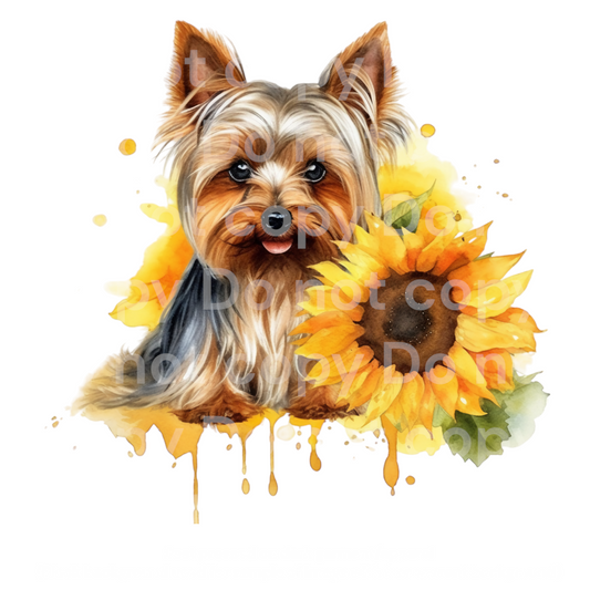 Sunflower Yorkie Dog Transfer Film 0405