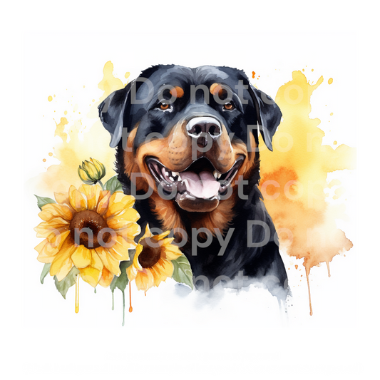 Sunflower Rottweiler Dog Transfer Film 0403