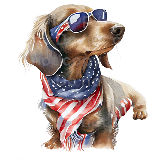 Patriotic Dachshund Dog Transfer Film 496