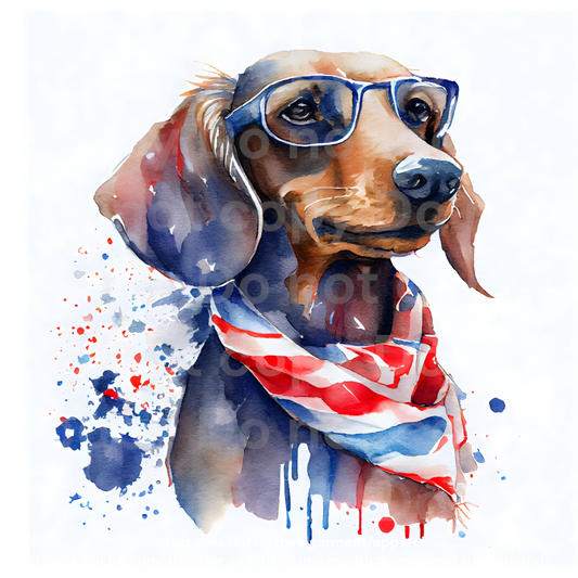 Patriotic Dachshund Dog Transfer Film 492