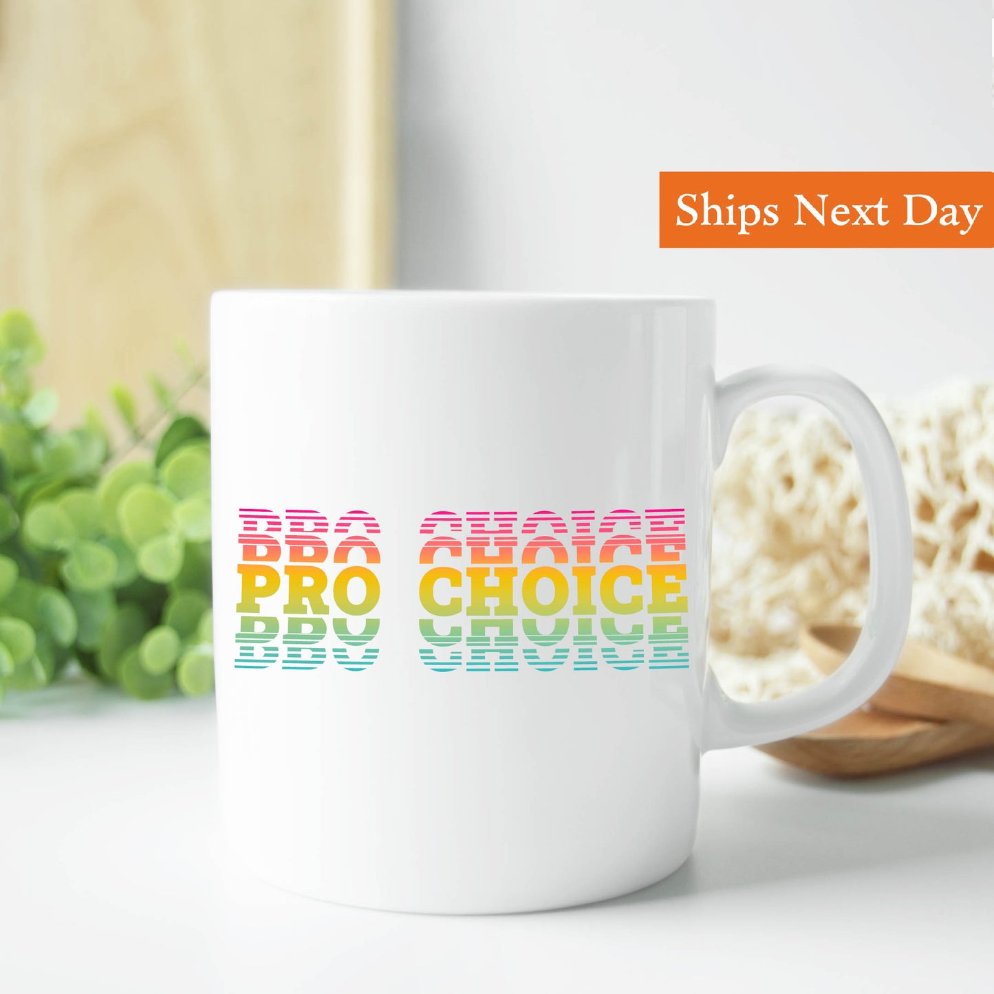 Pro choice Rainbow Mug 11 oz.