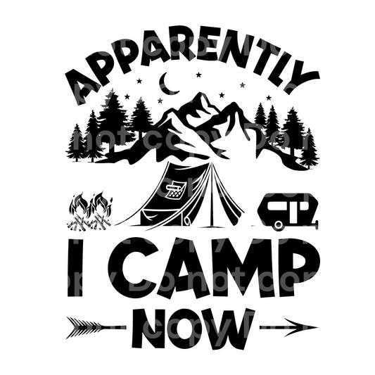 Apparently I Camp now Transfer Film 0426